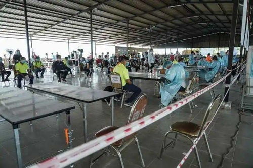 新規(guī) 工廠企業(yè)須在9月10日前對(duì)員工進(jìn)行2次檢測(cè)