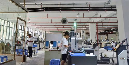 徐本國(guó) 把工廠從深圳搬回云陽(yáng) 為家鄉(xiāng)發(fā)展出一份力