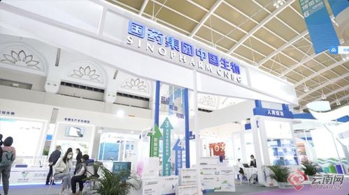 智慧引領(lǐng)，科技賦能 記者帶你解鎖南博會新體驗——恒特發(fā)展焦點